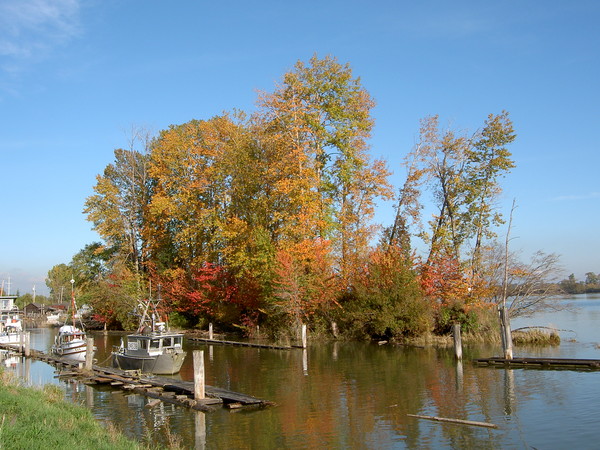 Finn Slough