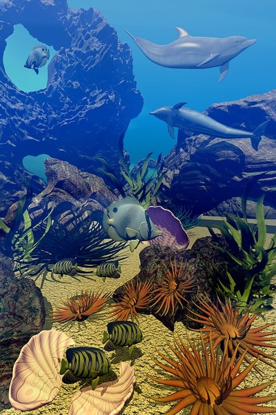 Underwater Sealife