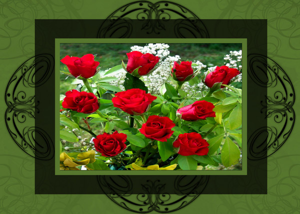 framed red roses