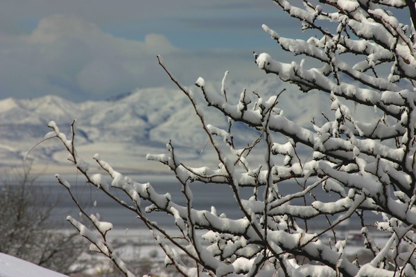 view from my porch