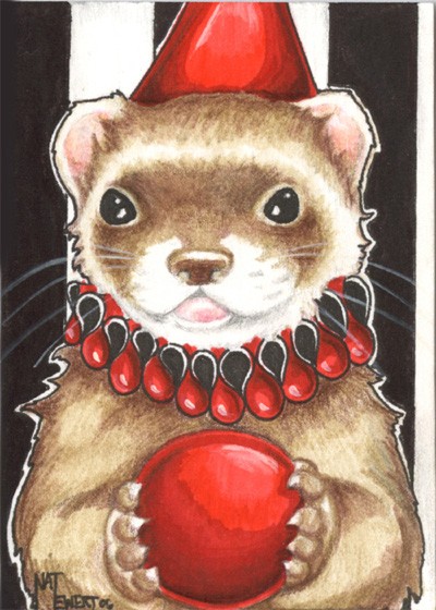 Jester Ferret