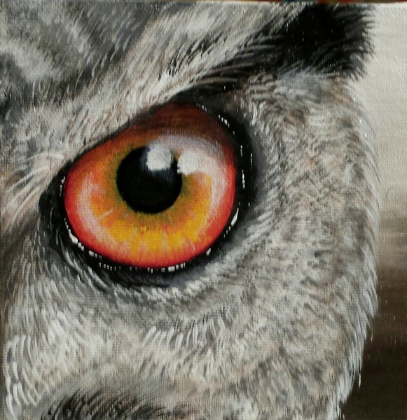 Eye of the Owl 7