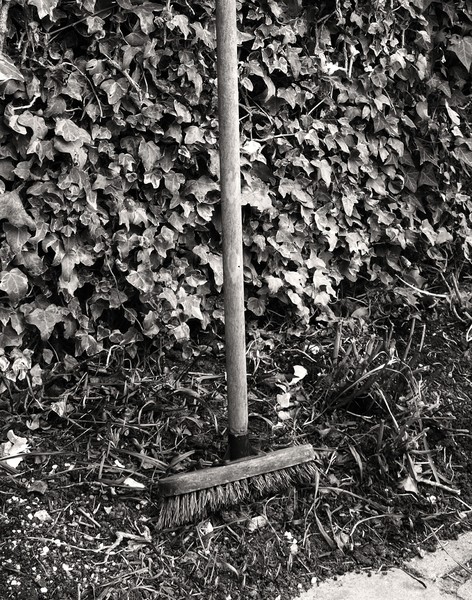 Forgotten Broomstick
