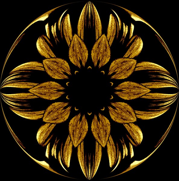 sunflower in gold