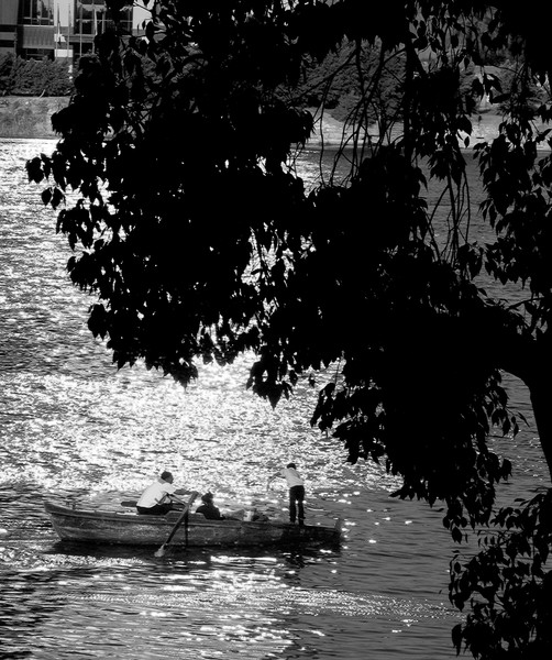 The Nile Black and White