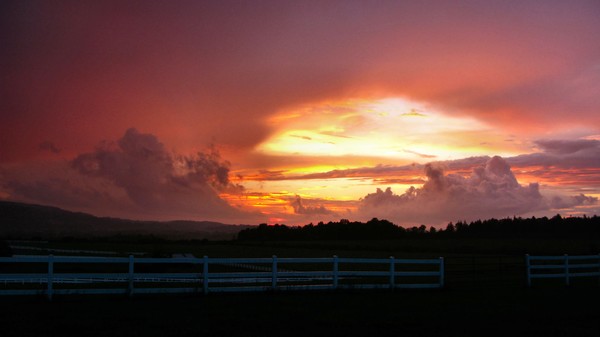 horse ranch sunset