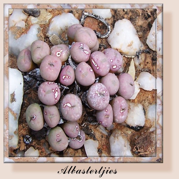 marbles 2 - a pink variety
