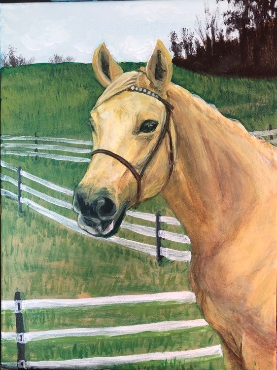 Horse portrait