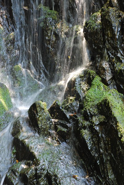 American River Feeder Waterfall