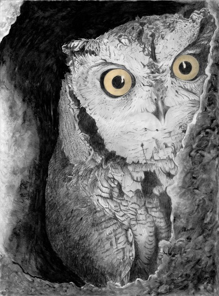 Creepy Owl