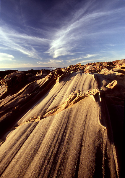 Reef Rock in Golden Light