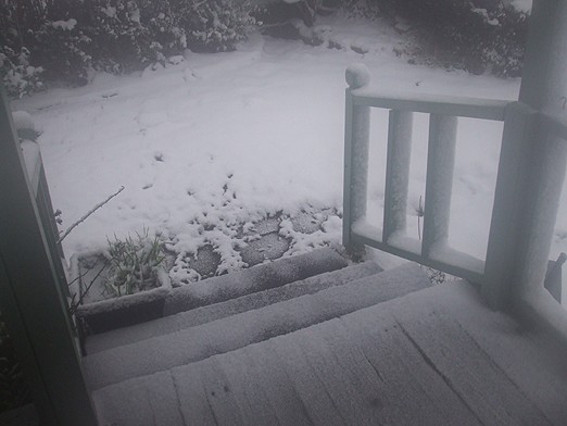 Snow on Stairs