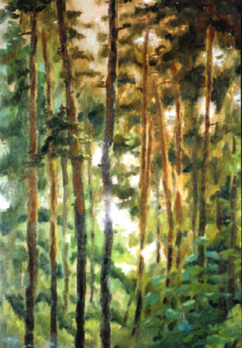 pine-trees