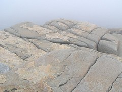 Misty day at Peggy's Cove