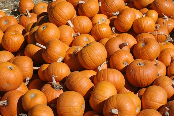 Pumpkins