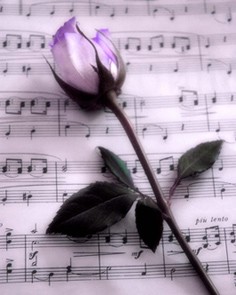 Rose and music