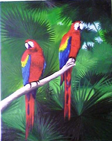Parrots -SOLD
