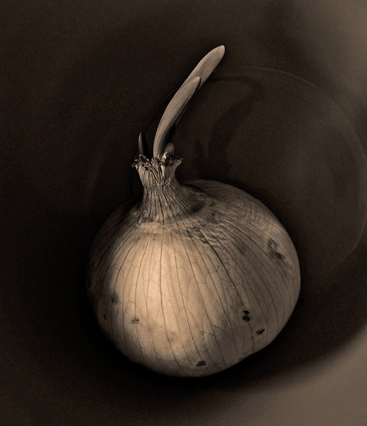 Onion_and_bowl