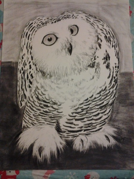 owl charcoal
