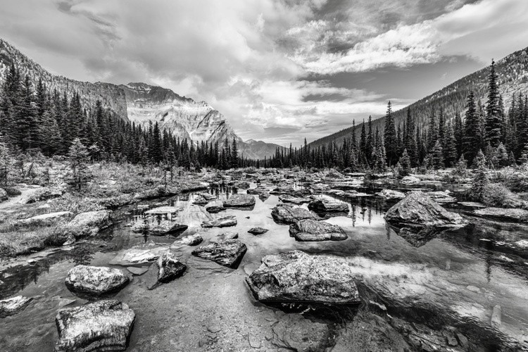 A hike along the creek in the mountains