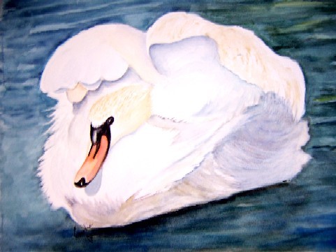 White swan