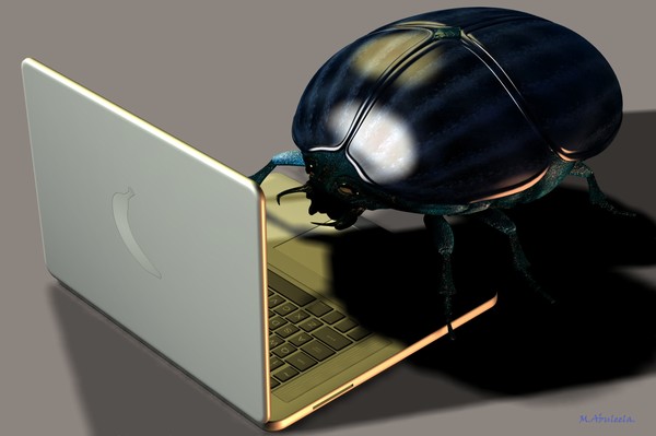 Computer Bug.