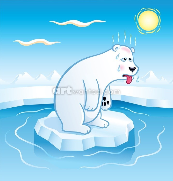 Polar Bear Sweating On Ice Floe