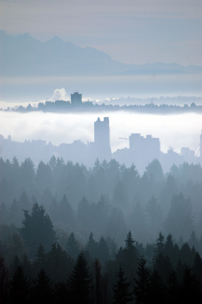 Vancouver Fog 3