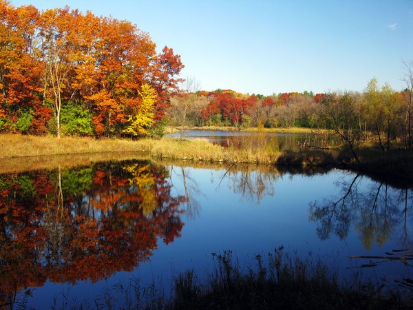 Pond and Autumn Color