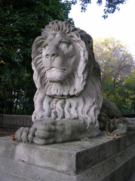Stoic Lion