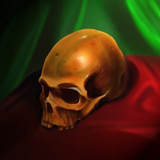 skull study