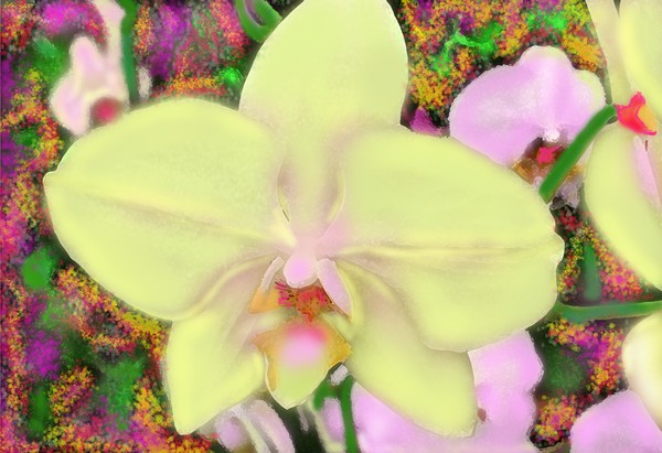 IVORY ORCHID WITH POINTILLISTIC GARDEN FRAMING IT