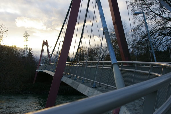 Defazio Bridge (with rail)-Eugene