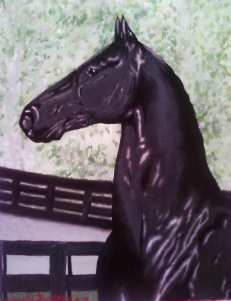 Black Stallion