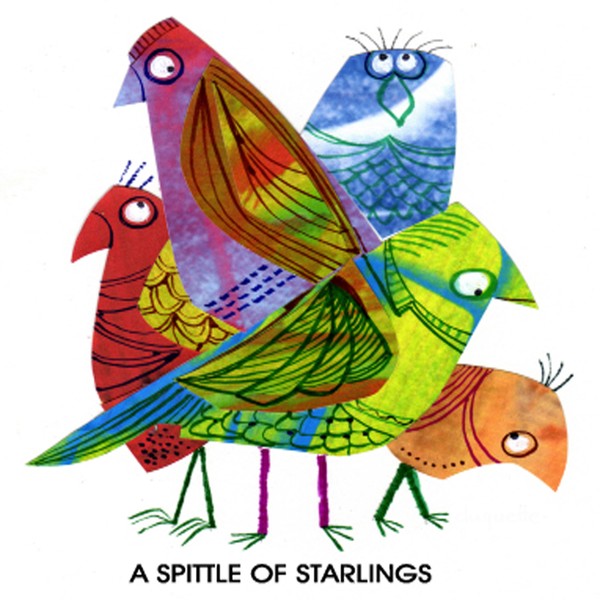 A SPITTLE OF STRARLINGS