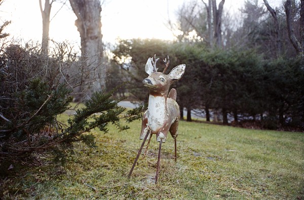 Deer Lawn Ornament, Medusa, NY