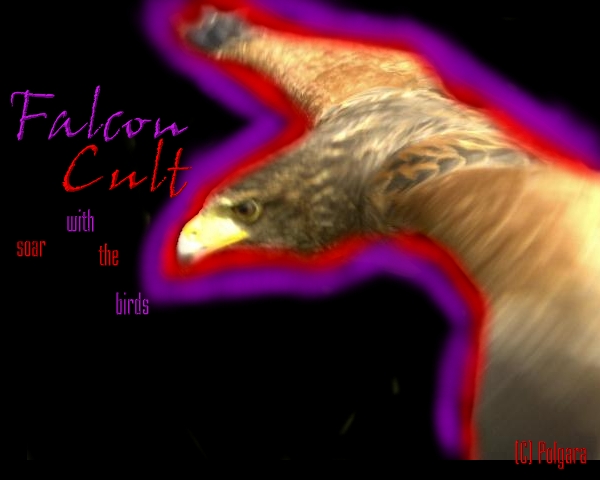 Falcon Cult