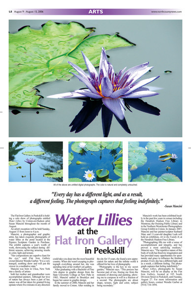 water lillies layout