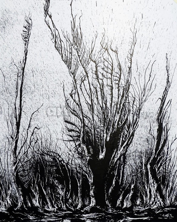 Black and white abstract dense forest. An ink graphic drawing