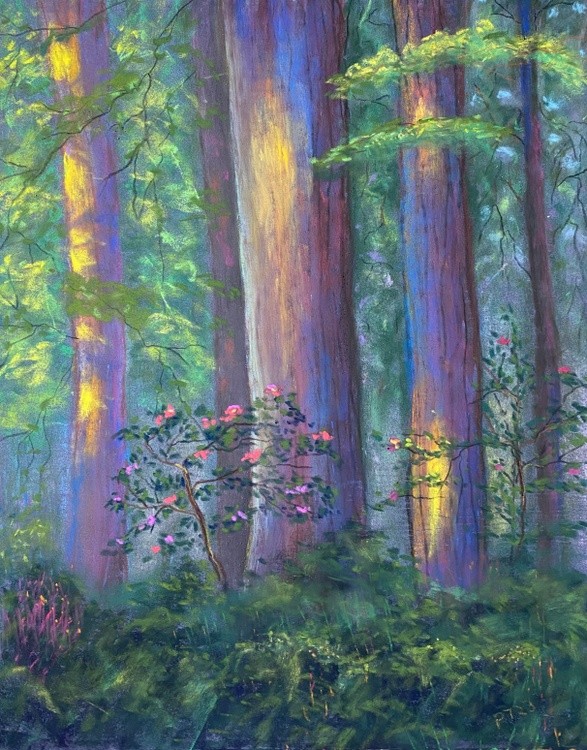 Sunlit Sequoias 