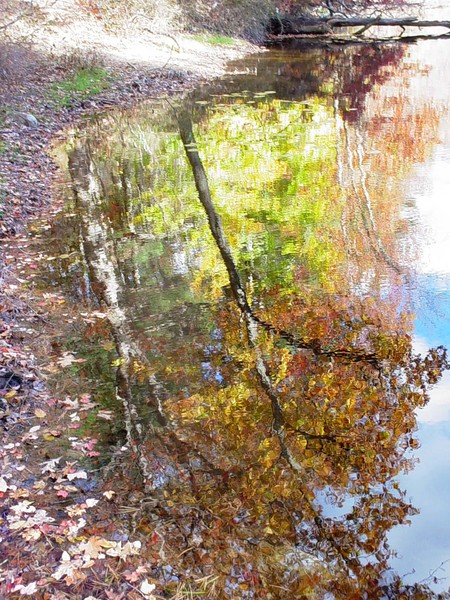 Fall Reflection
