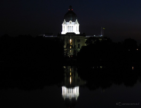Reflections of Government