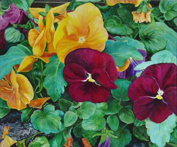 Big Pansies