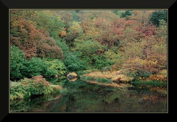 Early Autumn at Kagamidaira