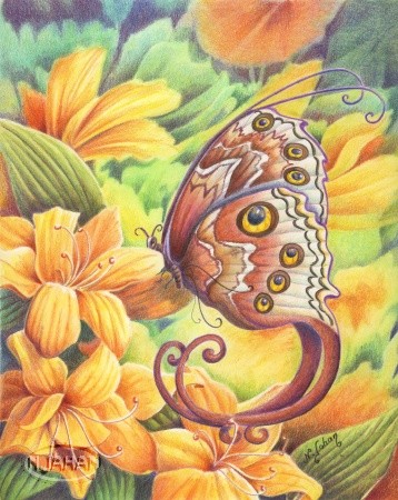 Butterfly in my dreams ...