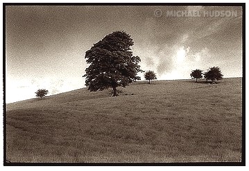 Trees, County Clare, Ireland