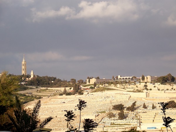 Olive Mountain in Jerusalem