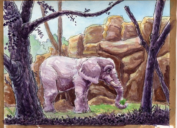 Zoo Elephant