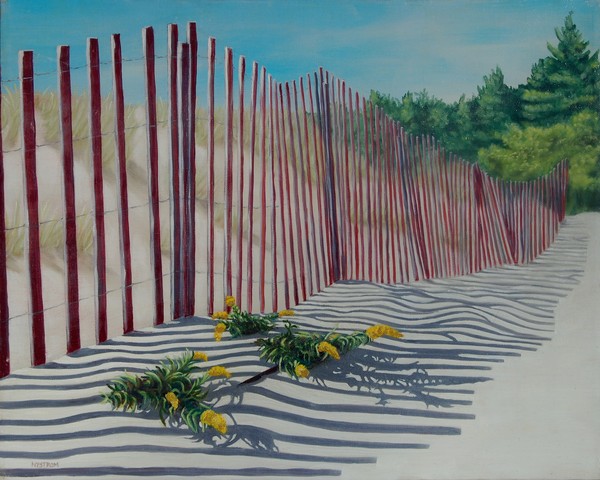 Fence in the Dunes