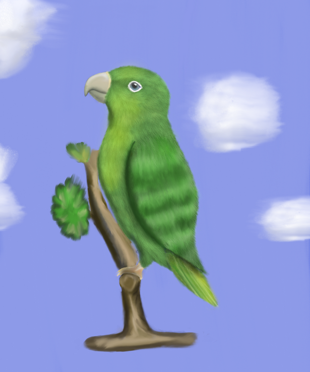 Love Bird (green)
